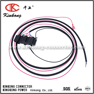 Auto Wire Harness Custom Relay Harness