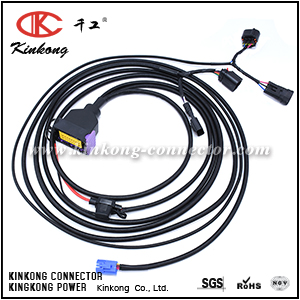 OEM automotive wire harness 2