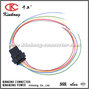 Automotive wire harness with 6 pin Accelorater Pedal Connectors 1928403740 WA102