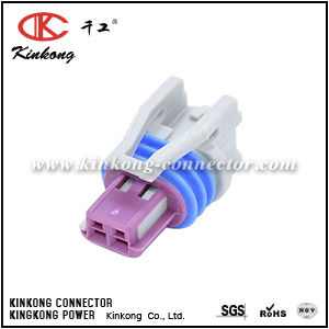 2 hole female waterproof automotive connector CKK7023E-1.5-21