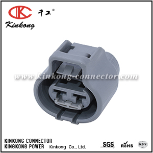 6-176146-6 368330-1 PA805-02327 2 pole female Brake Booster Pump Assembly connector CKK7021-4.8-21