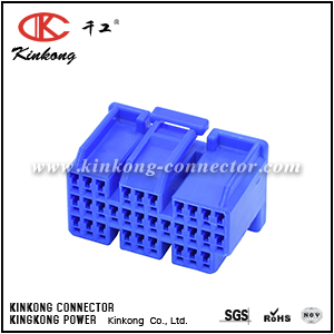 179680-5 31 pole female OBD2 ECU Plug C CKK5313L-1.2-21