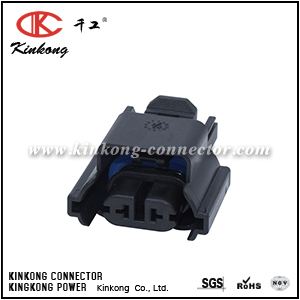 3D0 941 165 A 2 pole female AUDI SKODA VW SEAT Fog Light connector