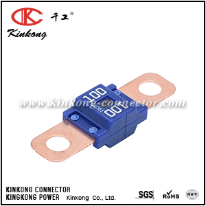 SBFW-L-100A 3100 Slow blow fuse type l