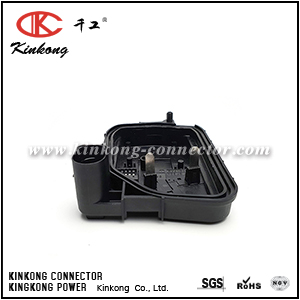 Throttle ECU Connector